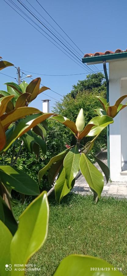 Casa Da Nespereira- Lugar Acolhedor Rodeado De Natureza Soure Zewnętrze zdjęcie